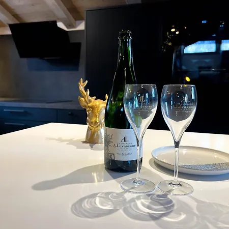 De Luxe Aux Gets - 4 Pour 9 Personnes Avec Jacuzzi Et Wi-fi Chalet *
